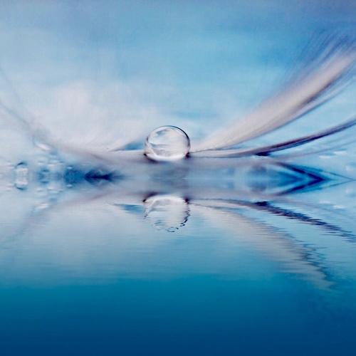 Photo #3612645