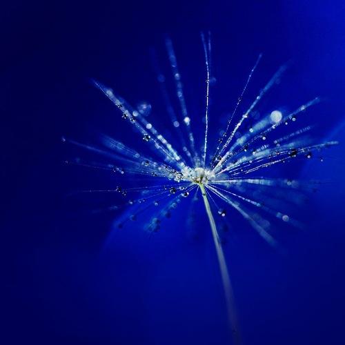 Photo #3612665