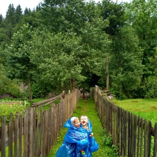 Photo #3612768