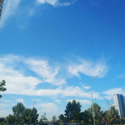 Photo #3613243