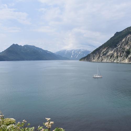 Photo #3613662