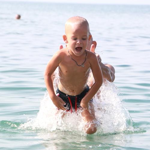 Photo #3613902