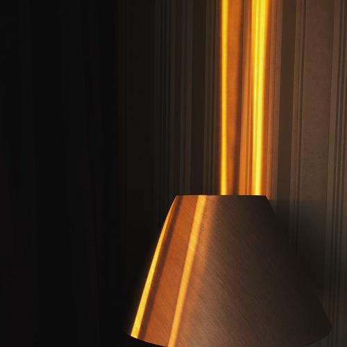 Photo #3613974