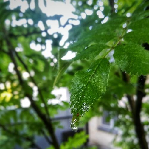 Photo #3614580