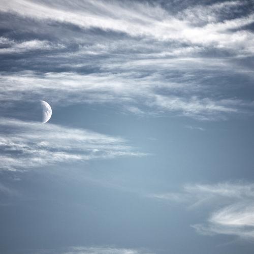 Photo #3614636