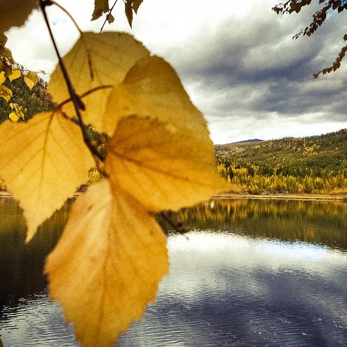 Photo #3614937