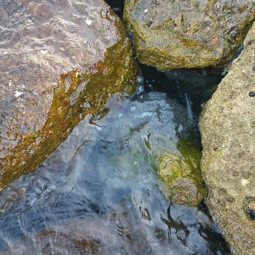 Photo #3615058