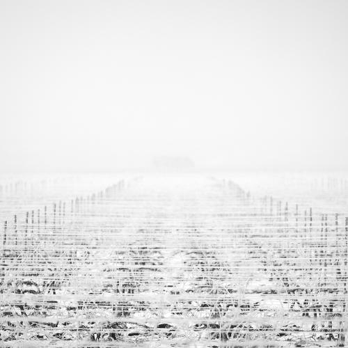 Lines and so on...