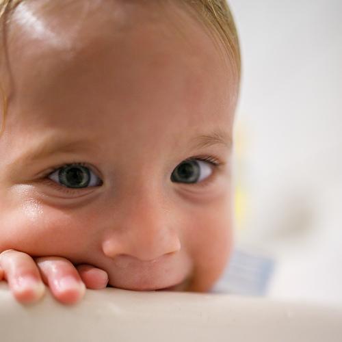 Photo #3615697