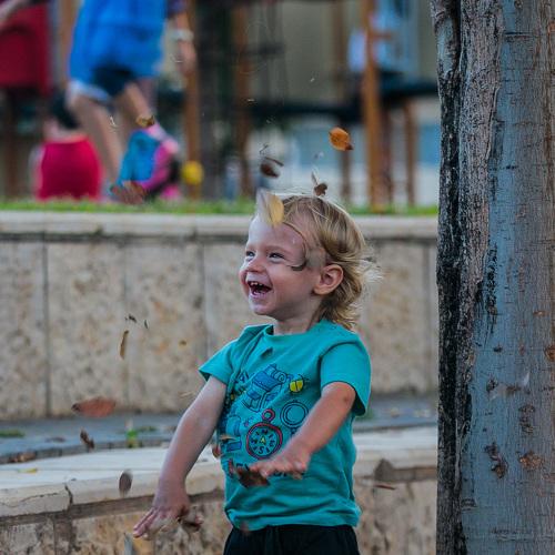 Photo #3615698