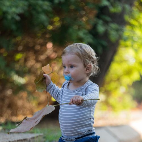 Photo #3615700