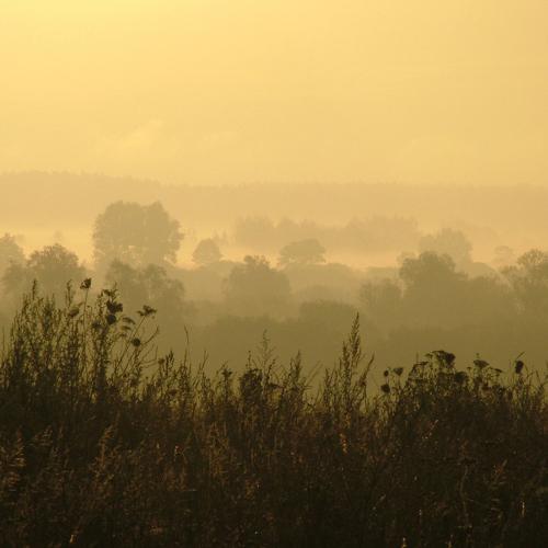Photo #3615836