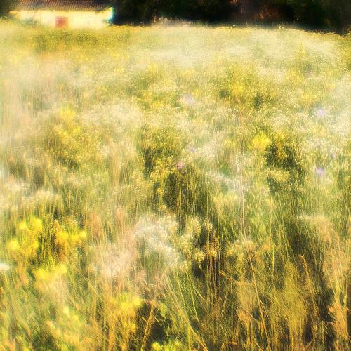 Photo #3615856