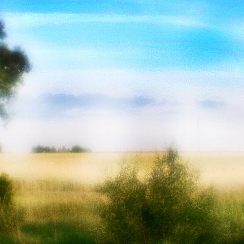 Photo #3615865