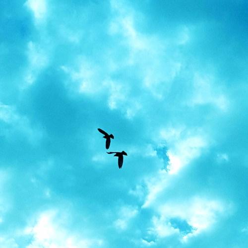 Photo #3615876