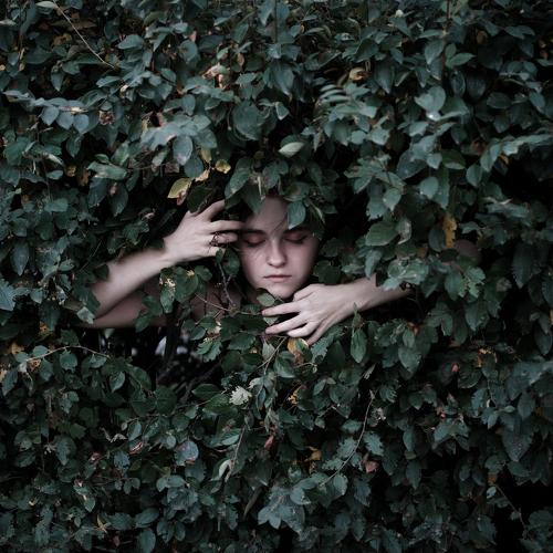 Photo #3615919