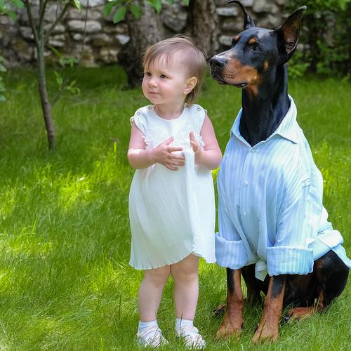 Photo #3616147