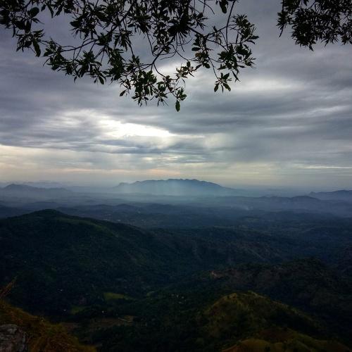 Photo #3616406