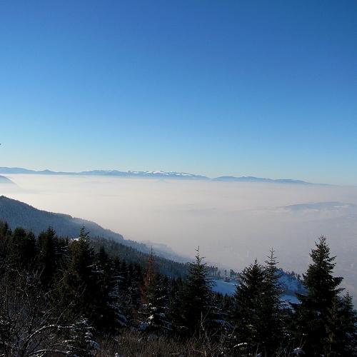 Photo #3616456