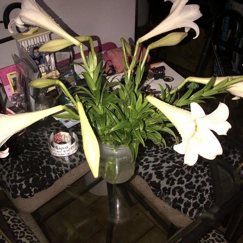 Photo #3616523