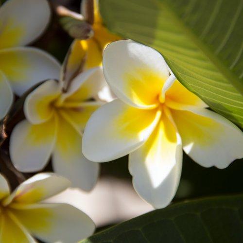 Photo #3616545