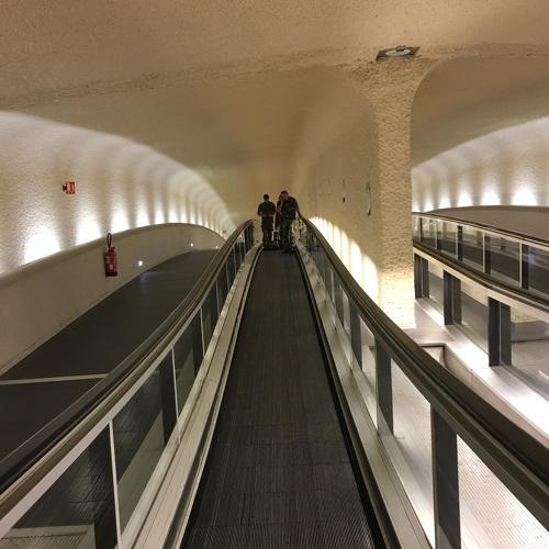 Photo #3616584