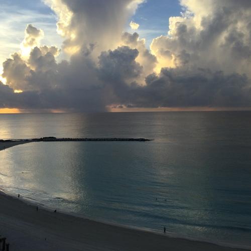 Photo #3616589