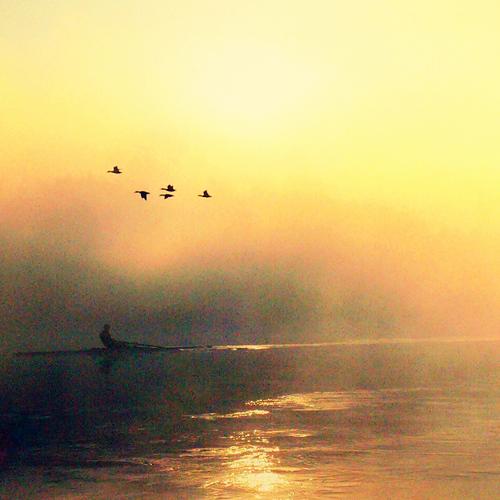Photo #3617093