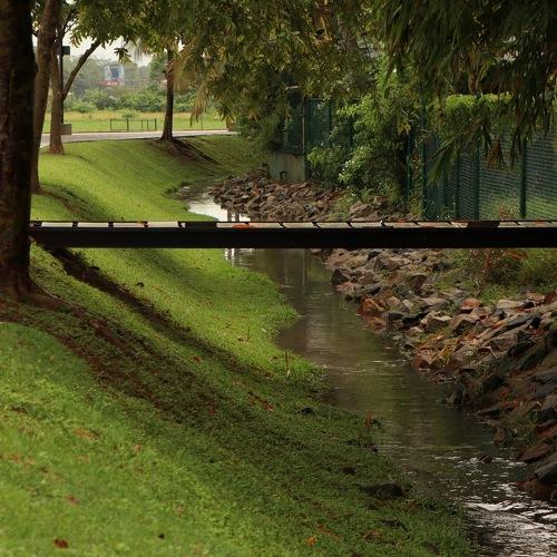 Photo #3617530