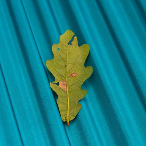 Photo #3617886