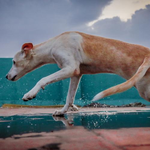 Photo #3617895