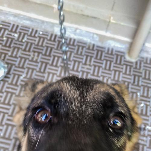 Photo #3617915