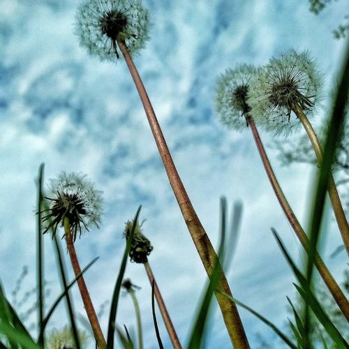 Photo #3618006