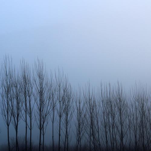 trees