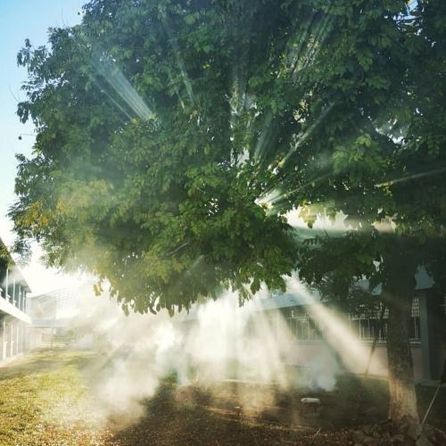 Photo #3618548