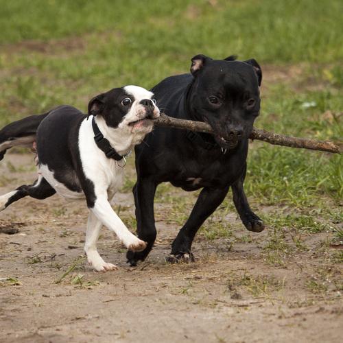Photo #3618626