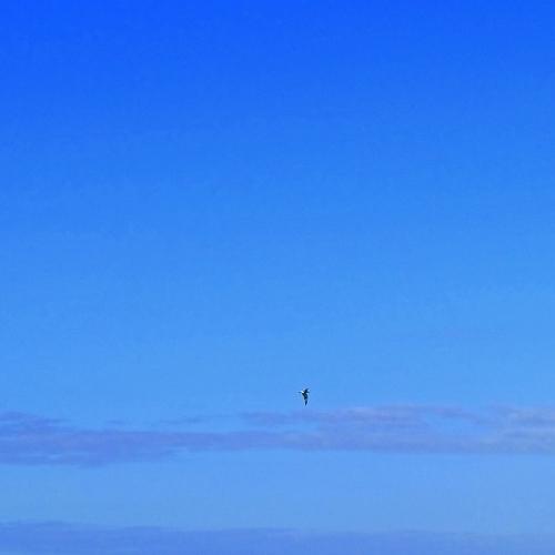 Sailboat