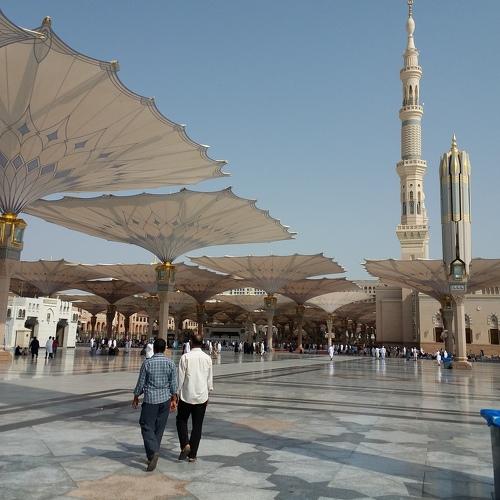 Photo #3618976
