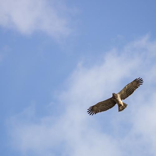 Photo #3619168