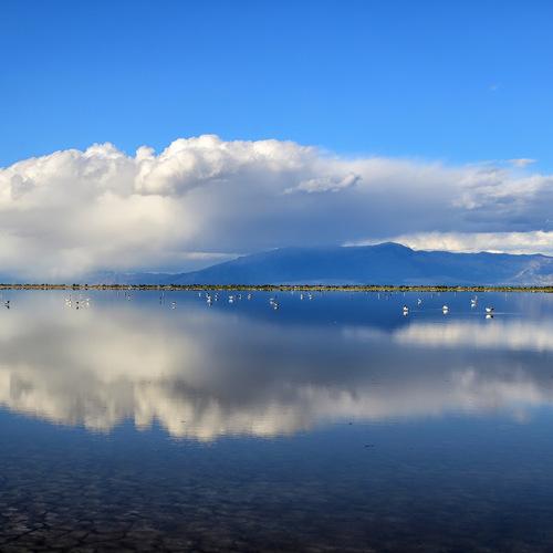 Reflections