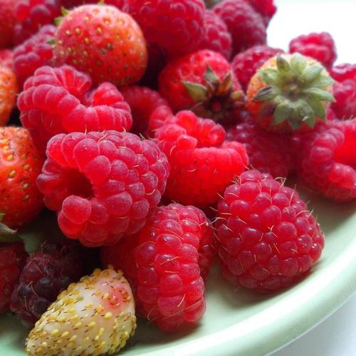 Photo #3619290