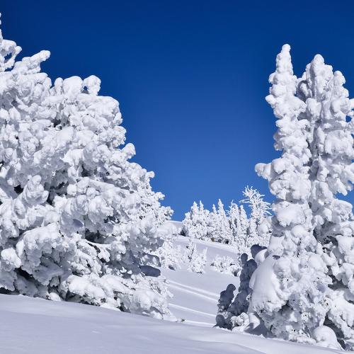 Winter in Utah/ Snowbasin