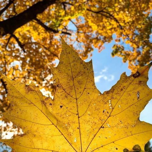 Photo #3619496