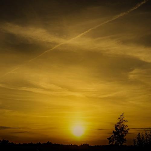 Photo #3619501