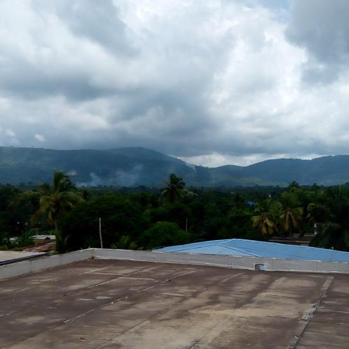 Photo #3620072