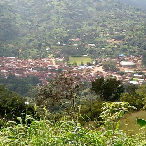 Photo #3620075