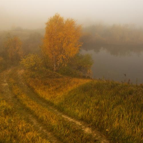 Дорога в осень