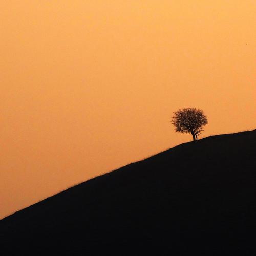 Photo #3620747