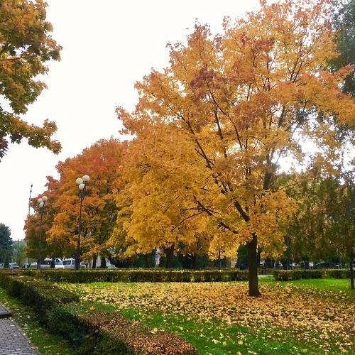 Photo #3621147
