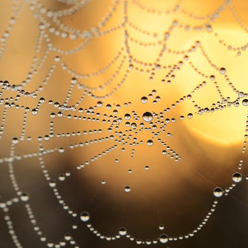 Photo #3622347